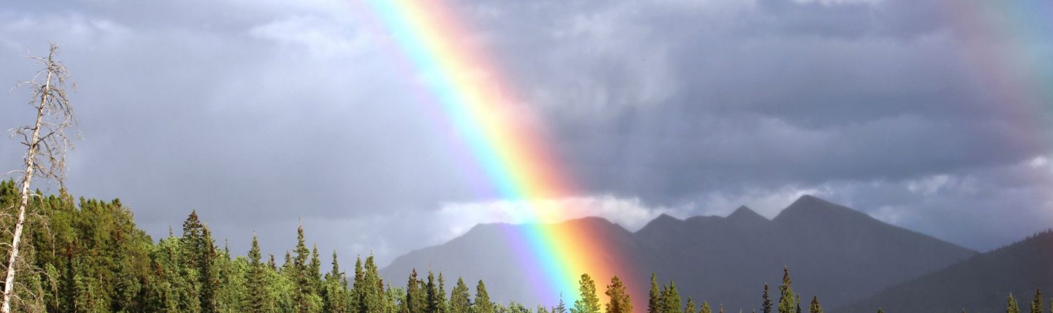 rainbow-436183